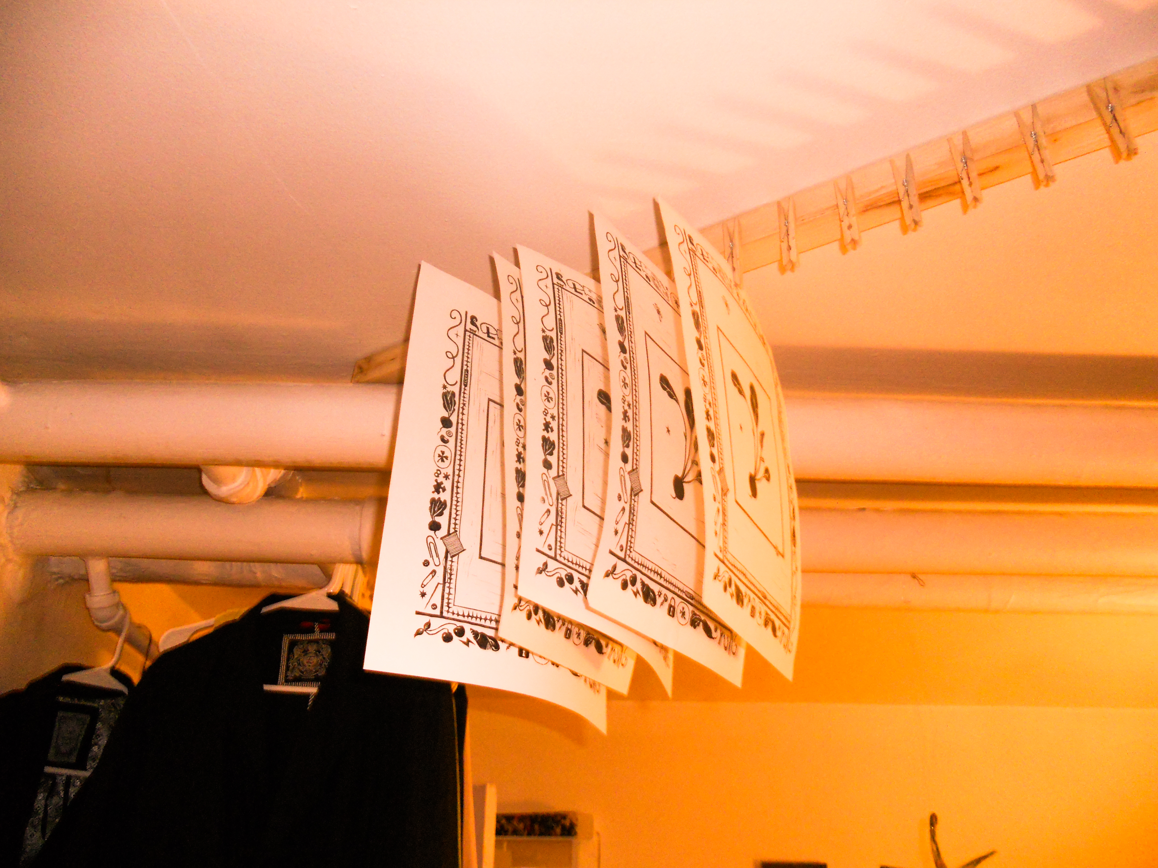 Drying Clips